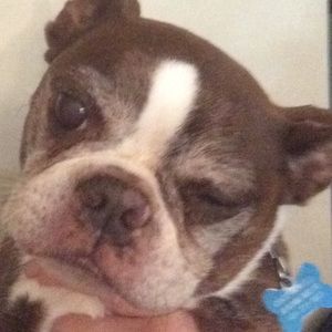 Meet your Posher, Sondra